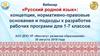Вебинар «Русский родной язык»: концепция, нормативно-правовые основания и подходы к разработке рабочих программ для 1-7 классов