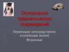 Осложнения травматических повреждений. Первичные (непосредственно угрожающие жизни). Вторичные