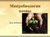 Микробиология почвы
