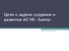 Цели и задачи создания и развития АО НК «Sunny»