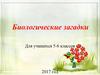 Биологические загадки для учащихся 5-6 классов