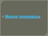 Малые голландцы