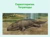 Саркоптеригии. Тетраподы