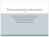 Типы развития насекомых