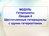 Гетероциклы. Шестичленные гетероциклы с одним гетероатомом