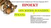 Уссурийские тигры. Научно-практическая конференция «Взгляд в будущее-2017». Проект «их жизнь в наших руках»