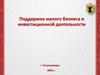 Поддержка малого бизнеса и инвестиционной деятельности