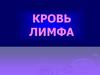 Кровь. Лимфа