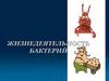 Жизнедеятельность бактерий. Питание