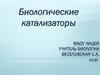Биологические катализаторы