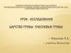 Урок - исследование: Царство Грибы. Плесневые Грибы
