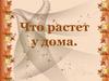 Что растет у дома
