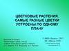 Цветковые растения. Самые разные цветки устроены по одному плану. 6-й класс