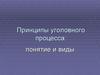 Принципы уголовного процесса