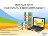 Опыты с растениями. Банан. 7 класс
