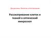 Рассматривание клеток и тканей в оптический микроскоп
