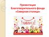 Благотворительный фонд «Северная столица»