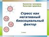 Стресс, как негативный биосоциальный фактор