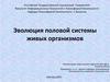 Эволюция половой системы живых организмов
