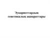 Эукариоттардың генетикалық ақпараттары