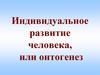 Индивидуальное развитие человека, или онтогенез