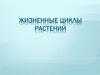 Жизненные циклы растений