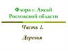 Флора г. Аксай Ростовской области. Часть 1. Деревья
