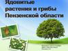 Ядовитые растения и грибы Пензенской области
