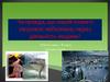 Чи правда, що нашій планеті загрожує небезпека через діяльність людини