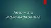 Лето – это маленькая жизнь. Лагерь