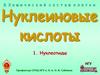 Нуклеиновые кислоты. Нуклеотиды