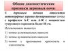 Дерновые почвы. (Лекция 8)