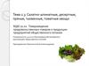 Салатно-шпинатные, десертные, пряные, тыквенные, томатные овощи
