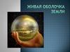 Живая оболочка Земли