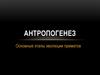 Антропогенез. Этапы эволюции приматов
