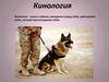 Кинология − наука о собаках