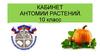 Кабинет анатомии растений. 10 класс