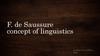 Ferdinand de Saussure, concept of linguistics