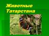 Животные Татарстана