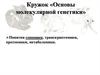 Понятия геномики, транскриптомики, протеомики, метаболомики