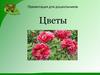 Цветы