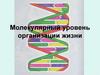 Молекулярный уровень организации жизни