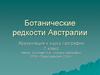 Редкие растения Австралии