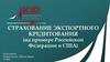 Страхование экспортного кредитования (на примере Российской Федерации и США)