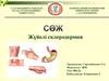 Жүйелі склеродермия
