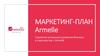 Маркетинг-план Armelle. Стратегия успешного развития бизнеса в партнерстве с Armelle