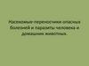 Насекомые-переносчики опасных болезней и паразиты человека и домашних животных