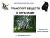 Транспорт веществ в организме