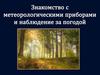 Знакомство с метеорологическими приборами и наблюдение за погодой. Практическая работа