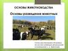 Основы разведения животных
